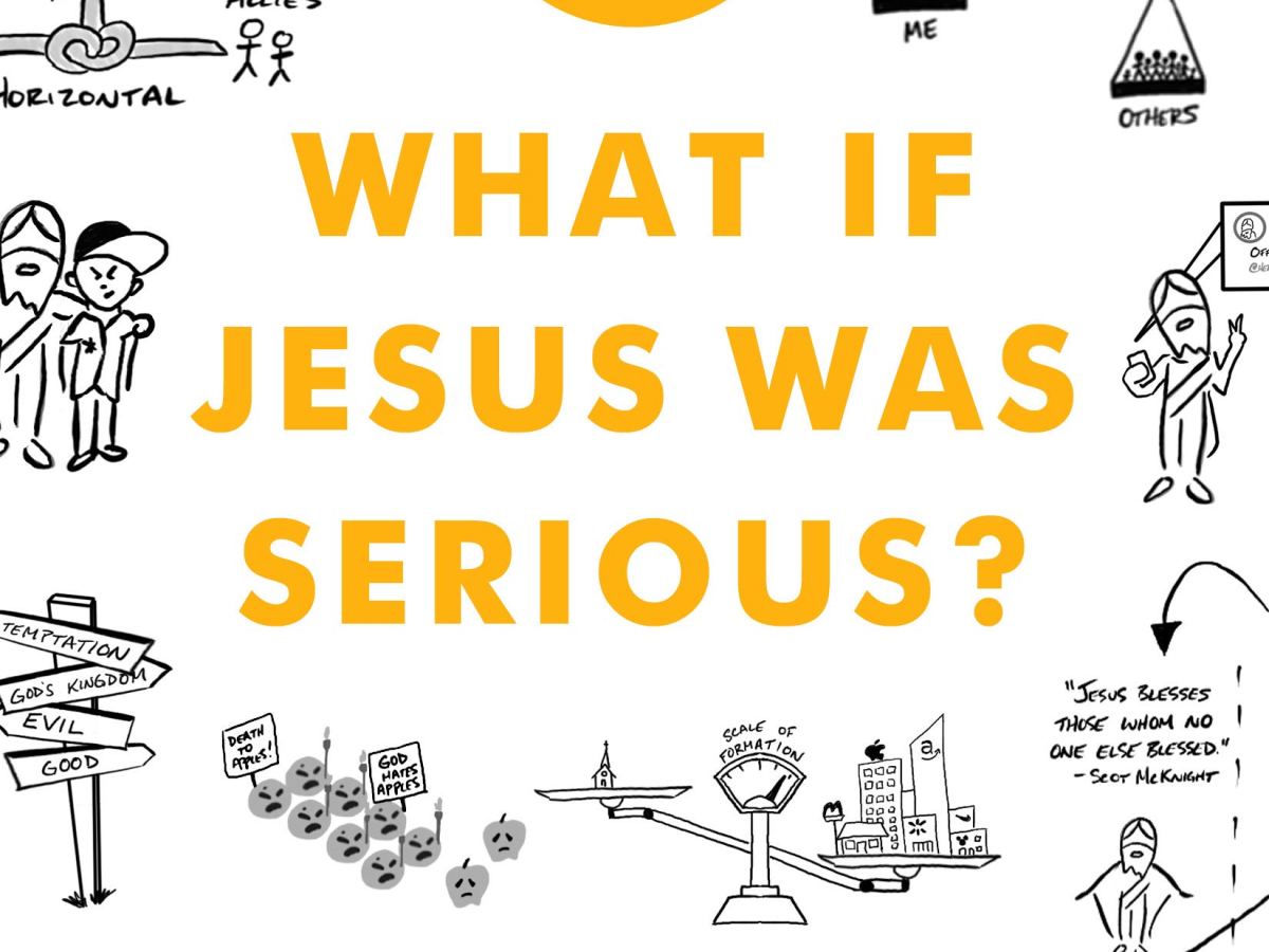 BOOK:  What If Jesus Was Serious?